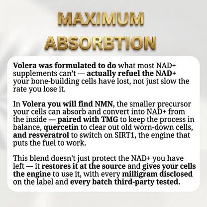 Volera NMN Bone Complex